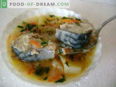 Versgevroren makreel soep, recepten met foto's. Hoe makreel soep te koken
