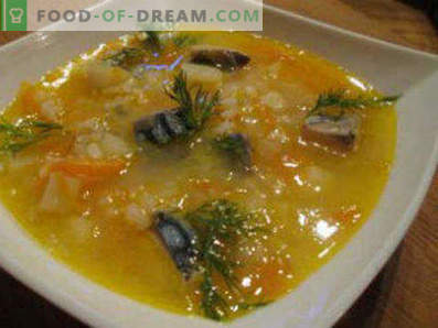 Versgevroren makreel soep, recepten met foto's. Hoe makreel soep te koken