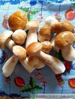 Gemarineerde witte champignons met kaneel