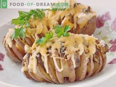 Potato harmonica. Baked potatoes with bacon under cheese crust