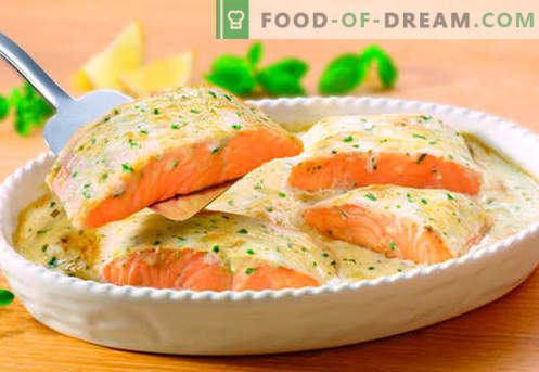 Salmon in a creamy sauce - the best recipes. How to properly and tasty cook salmon in a creamy sauce.