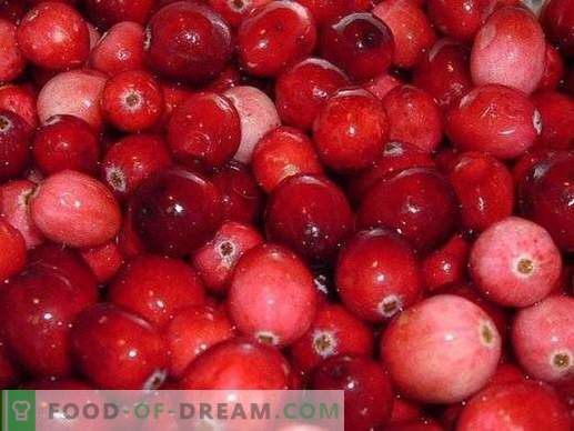 Cranberry voorkomt veroudering