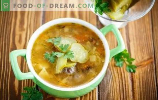 Augurk met champignons - een aromatische soep. Recepten van eenvoudig tot heel eenvoudig - we bereiden huisgemaakte augurken met champignons en vlees zonder vlees