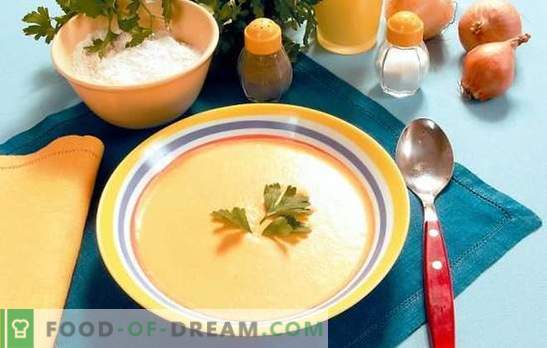 Soep-puree in een multikoker: luie fijnproevers. Recepten soepen puree in een slowcooker: kaas, kip, groenten, champignons, lever