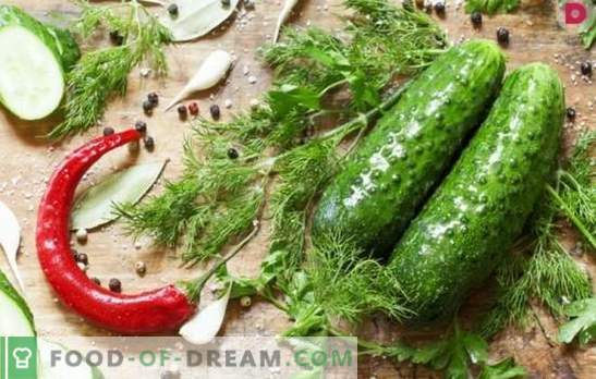 Hoe lekker om gezouten komkommers te maken? Varianten van gezouten komkommers met eikenschors, mierikswortel, citroen, munt, azijn en brood