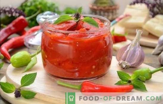 Lecho met tomatensap is een van de opties om een ​​heerlijke snack te maken. Bewezen auteursrechtrecepten lecho met tomatensap