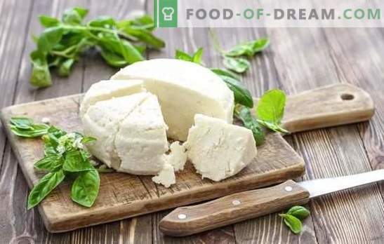 Zure melkkaas is een natuurlijk zuivelproduct. Varianten van het koken van kaas van yoghurt thuis