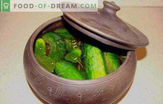 Meesteressen geven de voorkeur aan gezouten komkommers in de pan! Recepten van gezouten komkommers in de pan en gerechten met hun deelname