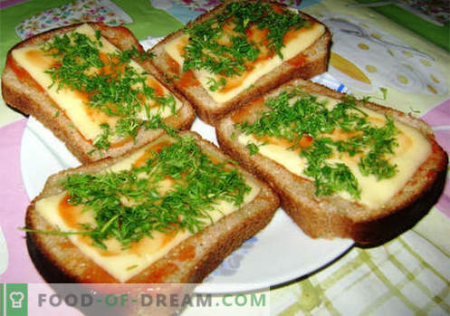 Kaassandwiches zijn de beste recepten. Hoe snel en lekker broodjes koken met kaas.