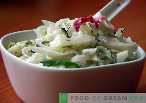 Salade met gepekelde uien - een selectie van de beste recepten. Hoe goed en smakelijk een salade bereiden met gepekelde uien.
