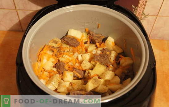 Gestoofde aardappelen met vlees in de slowcooker: rust! Recepten voor gestoofde aardappelen met vlees in een slowcooker: eenvoudig en complex