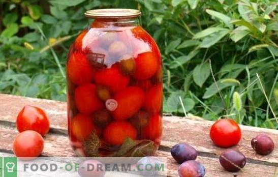Tomaten met pruimen voor de winter - we zullen ons de zomer herinneren! Recepten en geheimen van het koken van blanco tomaten met pruimen voor de winter