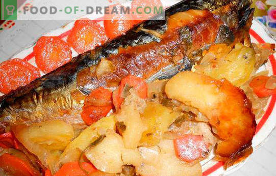 Makreel met aardappelen - de beste recepten. Hoe goed en smakelijk makreel met aardappelen koken.