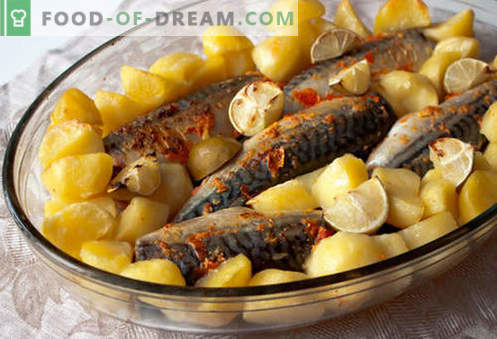 Makreel met aardappelen - de beste recepten. Hoe goed en smakelijk makreel met aardappelen koken.