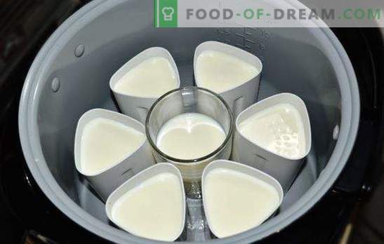 Yoghurt in een pot in potjes is een gezonde smakelijke delicatesse. Soorten yoghurt uit de multikoker in potten