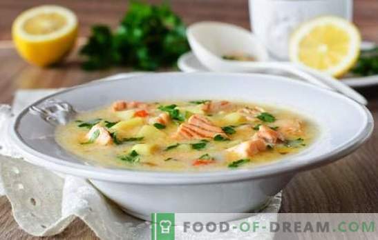 Verwerkte kaaskaas-soep is een eenvoudig gastronomisch gerecht. De beste recepten voor kaassoepen van smeltkaas