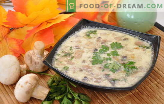 Изключително проста и уникално вкусна - гъбена супа с картофи. Подбор на супи от печурки с картофи