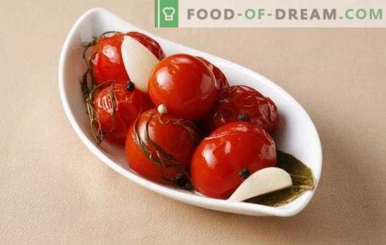 Gezouten tomaten voor de winter: een bank met vitamines. Eenvoudige en heerlijke kookopties voor gezouten tomaten voor de winter