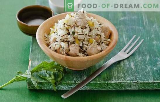 Turkey Rice: Real Home Cooking. Recepten-variaties op kalkoen met rijst: in een pan, in een pan, in potten, in een slow cooker