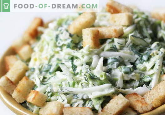 Salade met kool en crackers - een selectie van de beste recepten. Heerlijke koolsalades koken met crackers.