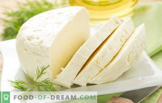 De beste recepten voor zelfgemaakte koeienmelk van koemelk. Koemelkkaas: basisregels voor het maken van zelfgemaakte kaas