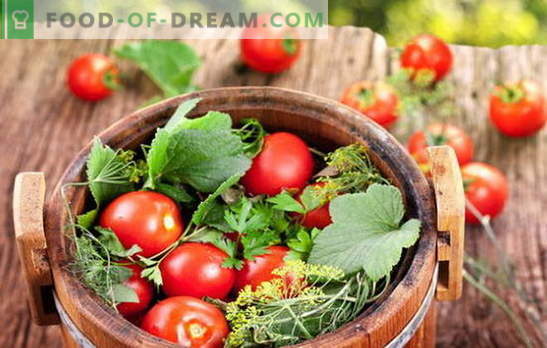 Groen en rood, de smaak is prachtige, zoute tomaten in een vat voor de winter. Verschillende manieren om tomaten in een vat te oogsten voor de winter