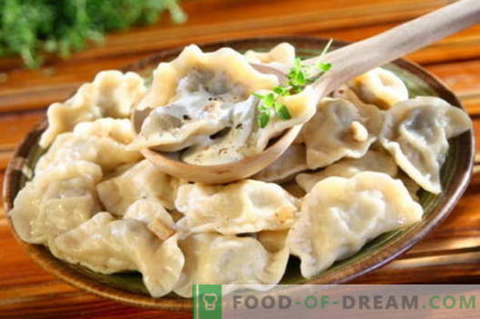 Dumplings met champignons - de beste recepten. Hoe goed en smakelijk thuis knoedels met champignons koken.