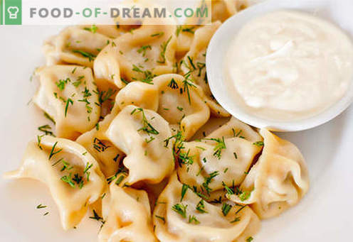 Dumplings met champignons - de beste recepten. Hoe goed en smakelijk thuis knoedels met champignons koken.