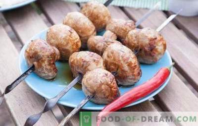 Gegrilde champignons - de originele snack! Hoe heerlijke champignons op de grill te bereiden: recepten en subtiliteiten