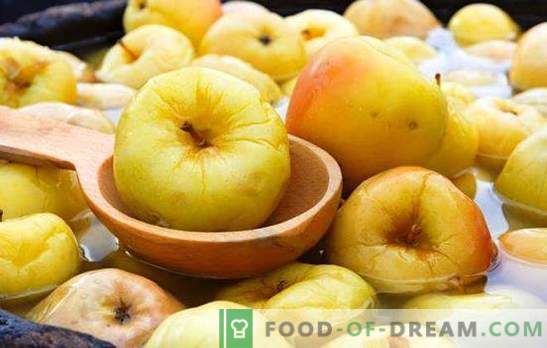 Soaked apples at home - verrijking is begonnen! De beste recepten voor geroosterde appels thuis in vaten en blikjes