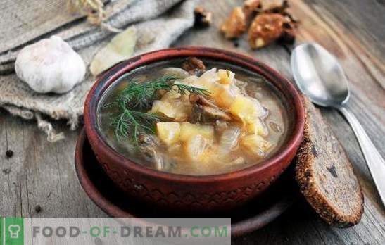 Lenten soep - voor vasten en diëten zijn goed! De beste traditionele en originele recepten van mager-vlees soep zonder vlees en dierlijk vet