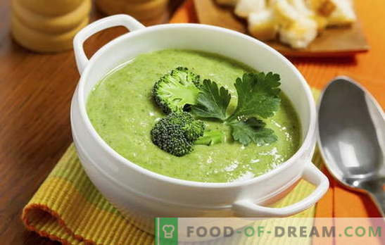 Broccoli-roomsoep: recepten voor voeding en basisvoeding. Diverse recepten voor room - soep van eenvoudige tot complexe broccoli