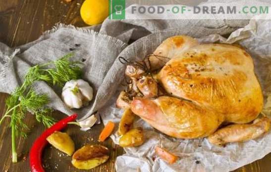 Wat te koken voor het avondeten, snel en smakelijk: van klassiek tot exotisch. Hoe maak je snel kip en kip koken en lekker?