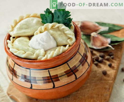 Dumplings in potten - de beste recepten. Hoe goed en smakelijk koken dumplings in potten.