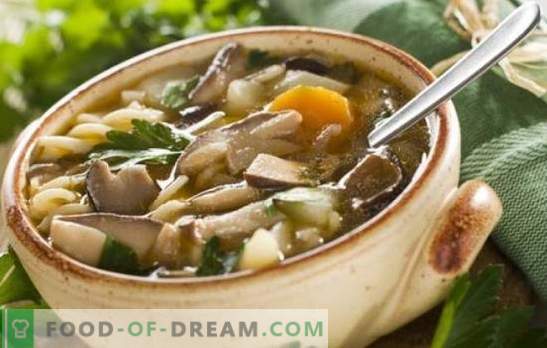 Mushroom champignon soep - eenvoudig en eenvoudig! Recepten van paddestoelen champignon soep met kip, boekweit, pasta en kaas
