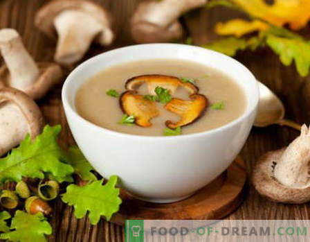 Roomsaus met champignons - de beste recepten. Hoe goed en smakelijk gekookte romige saus met champignons.