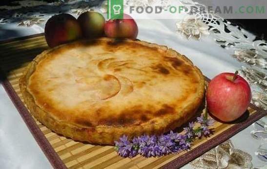 Gelei-appeltaart - een aroma voor het hele huis! Recepten van gelei taarten met appels op kefir, zure room, mayonaise, melk