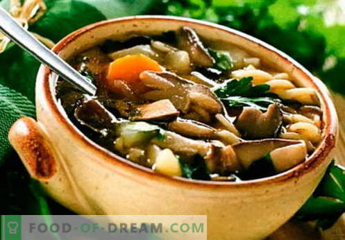 Bean soup - de beste recepten, trucs en geheimen. Hoe een heerlijke bonensoep te koken: met vlees, spek, kip