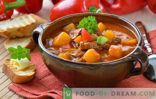 Hongaarse soep is ongewoon, maar smakelijk! Verschillende recepten van Hongaarse soepen: met rundvlees, vis, bonen, spinazie, kersen