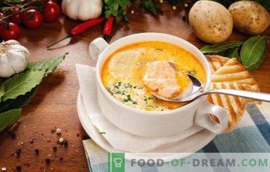 Vissoep - soep met een unieke smaak! Recepten voor verschillende vissoep met ingeblikt voedsel, verse karkassen en filets, kool, bonen