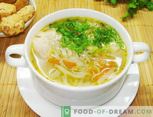 Chicken noodle soup - de beste recepten. Hoe soepkippinoedels goed te bereiden en te koken.