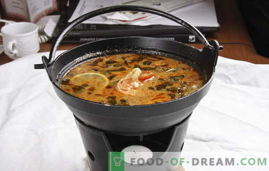 Thaise soep is exotisch in uw keuken. Recepten voor Thaise soepen met rundvlees, vis, kip, zeevruchten, groenten en champignons
