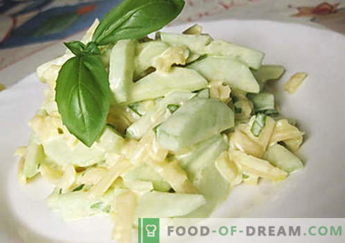 Komkommersalade met kaas - de beste recepten. Hoe goed en smakelijk een salade van komkommers met kaas bereiden