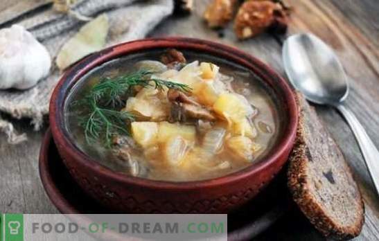 Zuurkoolsoep met champignons: traditioneel en origineel. Geheimen van koolsoep met champignons, boekweit, bonen, gerst
