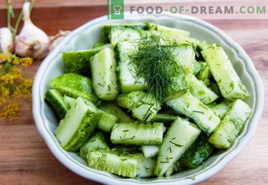Komkommersalade - de beste recepten. Hoe goed en smakelijk om komkommersalades te koken.