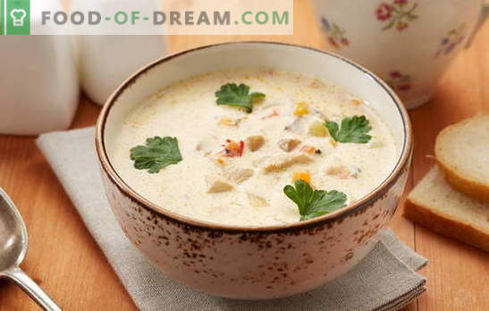 Pollock-soep - een gerecht met een uitstekende smaak! De juiste pollak vissoep koken met groenten, eieren, ontbijtgranen, kaas, melk