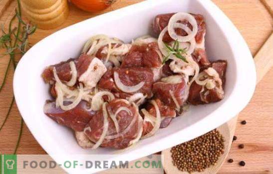 De beste marinade voor varkensvlees kebab - wat is het? De beste marinade-recepten voor varkenskebab op kefir, mineraalwater, granaatappelsap