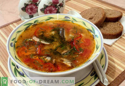 Tomaat sprot soepen - bewezen recepten. Hoe tomatentros soep goed en lekker te koken.