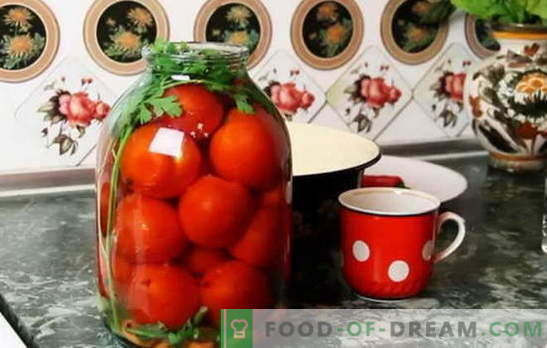 De beste recepten voor tomaten onder de capron-cover. Hoe tomaten te bereiden onder de capron-cover: tips van ervaren hostesses