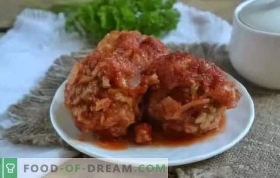 Gehaktballen in tomatensaus: stap voor stap recepten, kookgeheimen. Een stevig diner in een haast - gehaktballetjes recepten in tomatensaus van vlees en kip